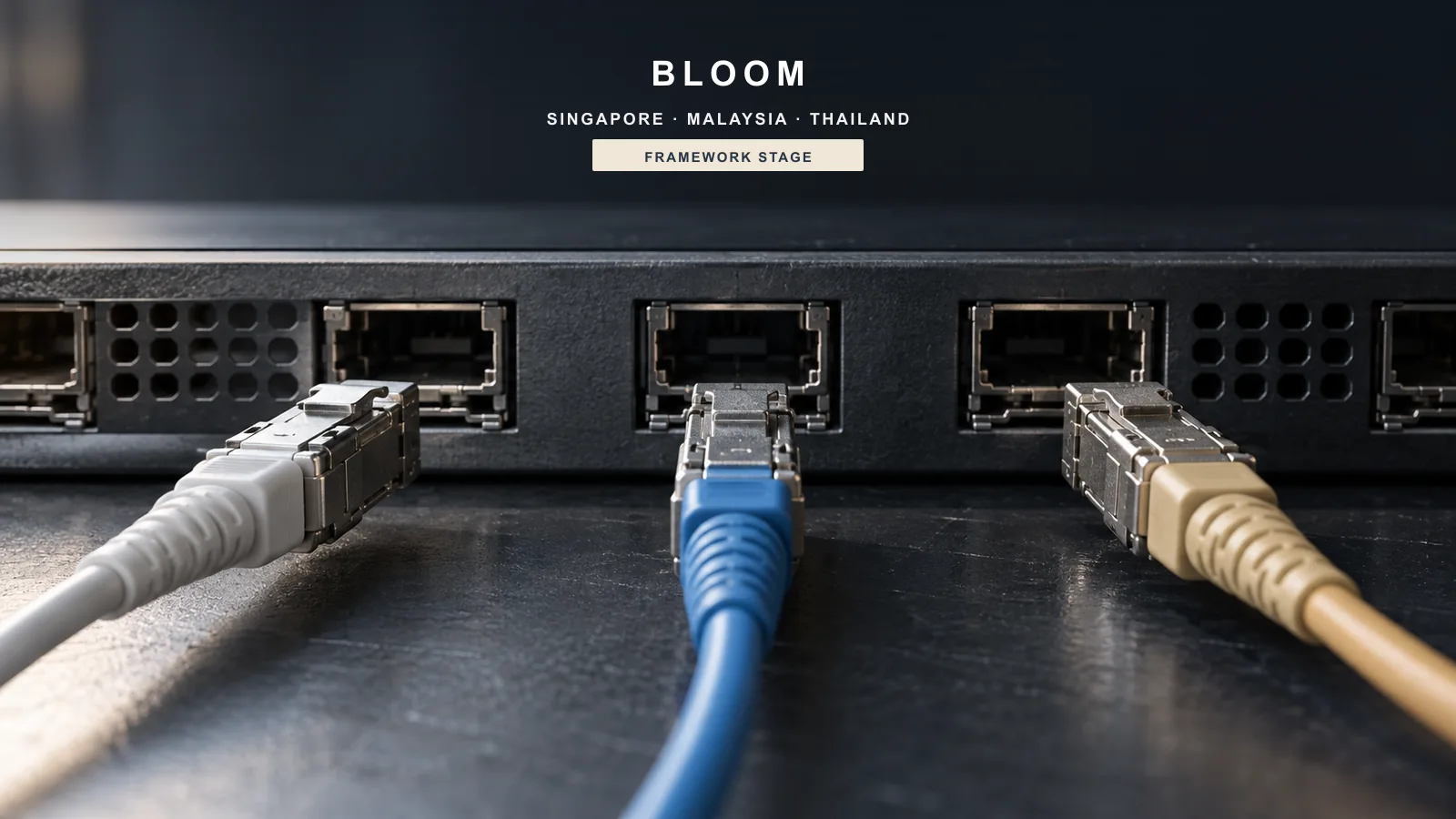 Conceptual view of three unplugged network cables approaching ports, labelled BLOOM, Singapore, Malaysia, Thailand and framework stage.