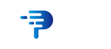 PP Link Securities